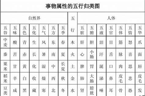 同字五行|同字的五行属性